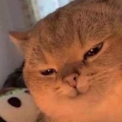 Gudburgur's profile picture. Tired AF