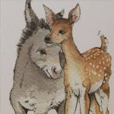 بی حاشیه، اومدم توییت تماشا کنم و توییت بزنم.
متاهل❤️
آهوی درونم زیبا
خر درونم در حال جفتک زدن.
دایرکت ندارم.