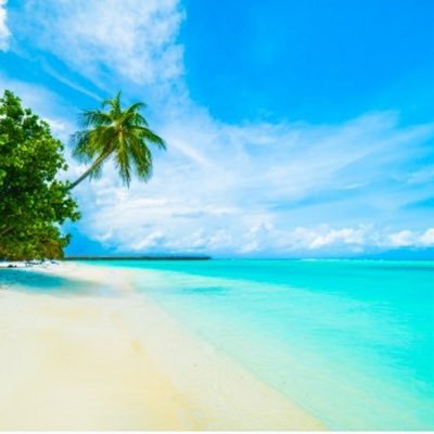 muscle_dad_'s profile picture. 色々解放され一度きりの人生を楽しんでいます
無言フォロー🙏