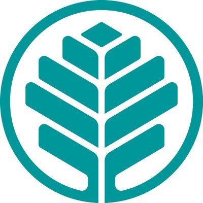 AHNPeach's profile picture. 