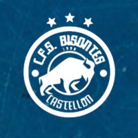CFS Bisontes Castellon (@bisontesfs) 's Twitter Profile