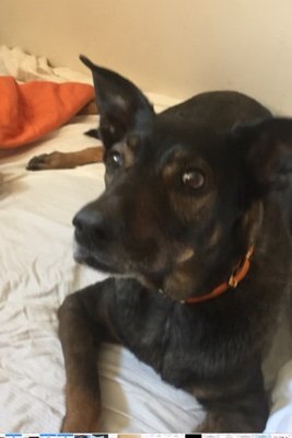 Marcia67424723's profile picture. Nothing