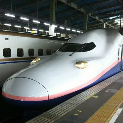 新潟はラーメン王国だ!バスセンターのカレー同好会会員、中華そば石黒応援隊(新潟市中央区弁天橋通にある煮干しにこだわったラーメン店、今月で10周年) バスセンターのカレーは通信販売もしております、ペンギンのいるダイニングは4月7日に閉店しました、ペンギンたちは沖縄店に引っ越しました。