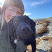 Haligunner (@haligunner) 's Twitter Profile
