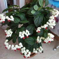 mustafa kale (@mustafa264626) Twitter profile photo