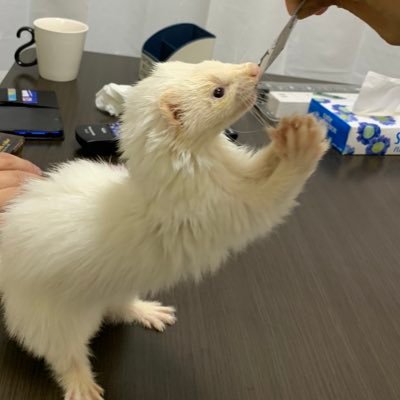 1202kuon's profile picture. 