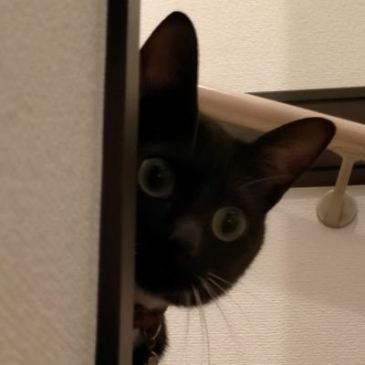 毛先死んでますよ