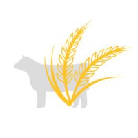 SkFARMh (@skfarmh) 's Twitter Profile