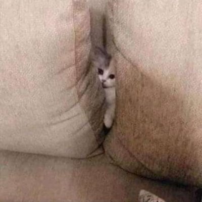 udenjepara's profile picture. Sukses itu pilihan, nyaman itu pembawaan. Tetap semangat usahakan sebaik mungkin.!!