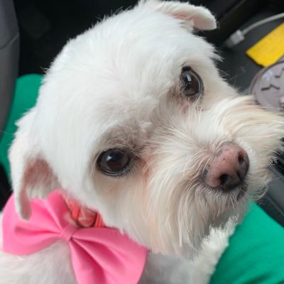 cjewer's profile picture. 