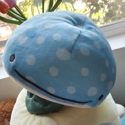 seesissi's profile picture. the see, the si, the open ssi