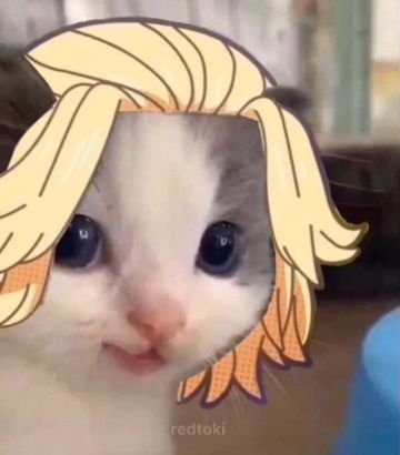 dailith15's profile picture. Holi vengo x chismes xd 🤣🤭