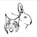 HerbivoRyzing (@herbivoryze) Twitter profile photo HerbivoRyzing (@herbivoryze) Twitter profile photo