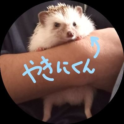 「アプリ開発」,「いきもの愛玩」,「音ゲー」をして生きてます.
うちの家族(※閲覧注意)→ #HANEKW_家いきもの 動物ダメな人はこのハッシュタグ🔕ミュートしたほうがいい