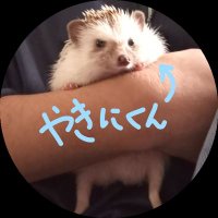 ブリブリパクパク┗┐<🐶>┌┛ (@hanekw_) 's Twitter Profile Photo ブリブリパクパク┗┐<🐶>┌┛ (@hanekw_) 's Twitter Profile Photo