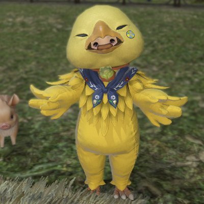 🐥FF14ハデス鯖🐥仲良くしてください　フォローお気軽に(´・ω・｀)無言フォローも大歓迎。 今大流行のおはちょこぼ　#ひよこ族のFF14絵日記　#ひよこの兄弟シリーズ 今一番可愛いと思うエモートは首を振るですきゅ。ヘッダーの絵はこにたん作きゅ！ひよこの判子はウルちゃん作ですきゅ🐣(👀*)ヒヨコの中の瞳✨