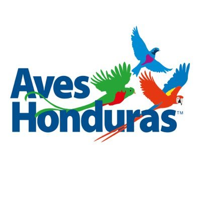 AvesHonduras's profile picture. Aves Honduras - Asociación Hondureña de Ornitología (ASHO), es una entidad sin fines de lucro que busca la protección y conservación de la avifauna de Honduras.