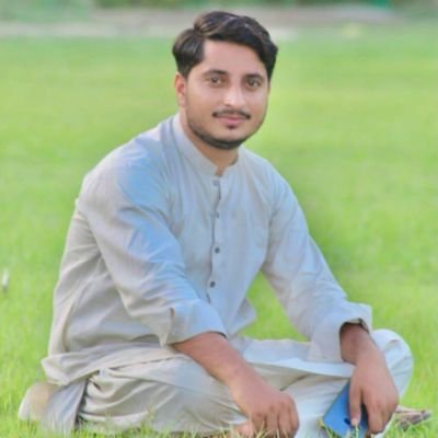 AmjadHu81587488's profile picture. mathematician