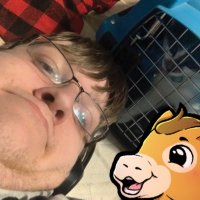 Fusion | 1HP (@fusionr6s) 's Twitter Profile