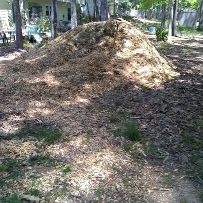 Creatio78880734's profile picture. poor health infections