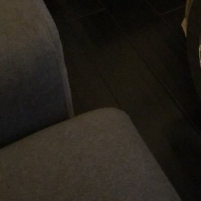 iamsteffystef's profile picture. 