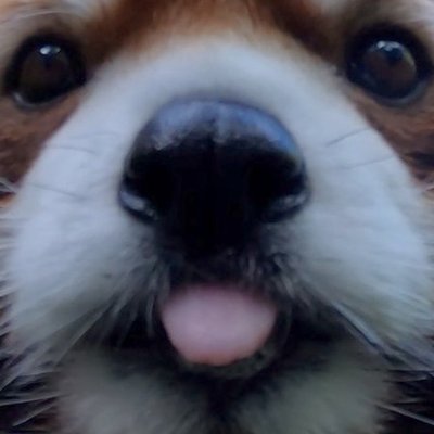 Discoさんのプロフィール画像
