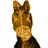 sillynoise's profile image