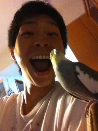 KeiichiSegawa's profile picture. 