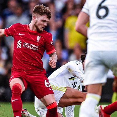 zhashan001's profile picture. 100%互follow