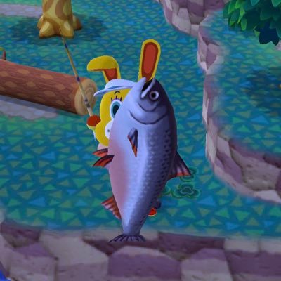 riricco12's profile picture. 