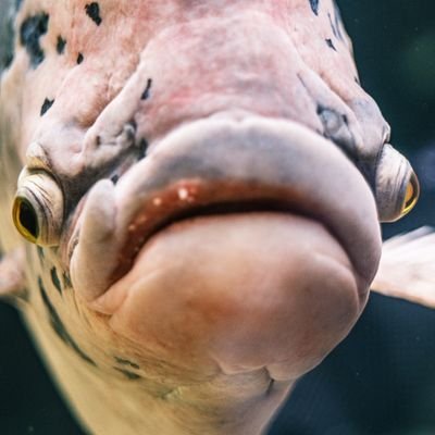 g03670461's profile picture. 