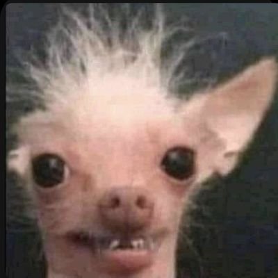 DenzelJosh2's profile picture. iM oKay pRoMiSe