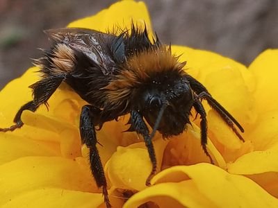 FrendJenny's profile picture. 