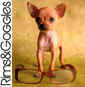 RimsandGoggles Profile Picture