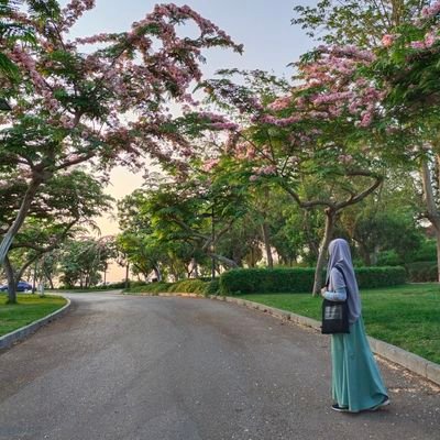 ruang menggores sedikit catatan bagi diri sendiri,
smoga juga membuatmu bahagiaa💐