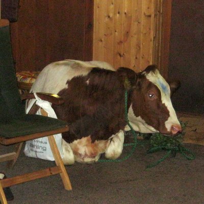 BartGrinaert's profile picture. 