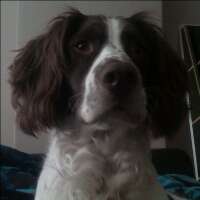 grundyben's profile picture. 