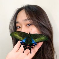 DNDcollections(@dndtaiwan) 's Twitter Profile Photo