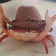 nshjsjejjjsbshh's profile picture. 