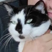 Pierrinator (@pierrinator) 's Twitter Profile