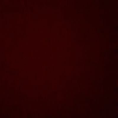 tQLXouunccQj6mL's profile picture. 理系？