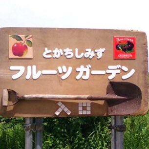 北海道 十勝地方の上川郡清水町にある果樹園です🍒 さくらんぼ・ハスカップ・ラズベリー すもも・プラム・うめ・あんず・もも・プルーン・りんご・梨など季節により様々なフルーツを栽培しております。 #さくらんぼ狩り #十勝