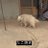 ひろさんのアイコン
