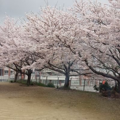 GWH595qE5Wj0KFy's profile picture. 人生に迷った時は最も険しい道を選べ!その道こそが栄光への最短距離だ!