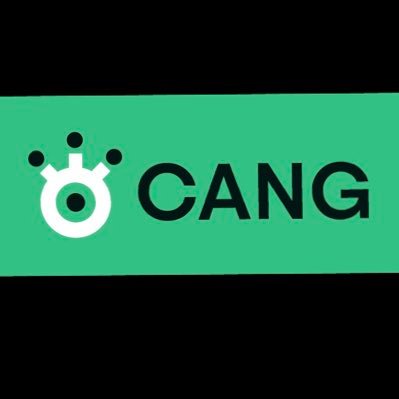 CANG is a civil society group,established by Nigerian citizens who believe in its prosperity.  We are an apolitical group and are not government critics.