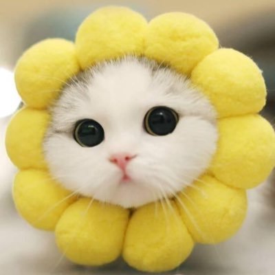 Niniさんのプロフィール画像