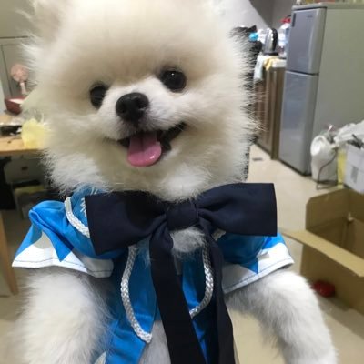裏垢@quancun7 為了追蹤日本的大大們所開的推特~( ´▽` )ﾉ 這裡是台灣的犬村， ｜成人済｜❤️近期喜歡人渣反派自救系統，天官賜福。日文勉強中。