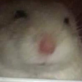 てんろうさんのプロフィール画像
