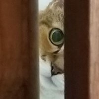 m (@mmmmmthatgirl) 's Twitter Profile Photo