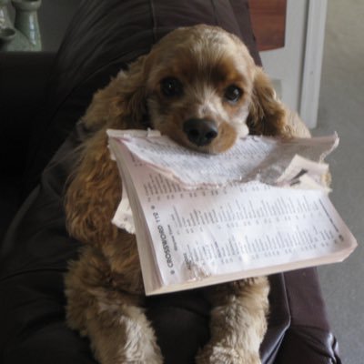 DonBikes4fun's profile picture. Dog Lover 🐾 Pro life, Israel. A Christian with a concealed weapons permit. Rides a Harley-Davidson. Born and raised an Okie! Trump’s the man! Jesus is Lord!